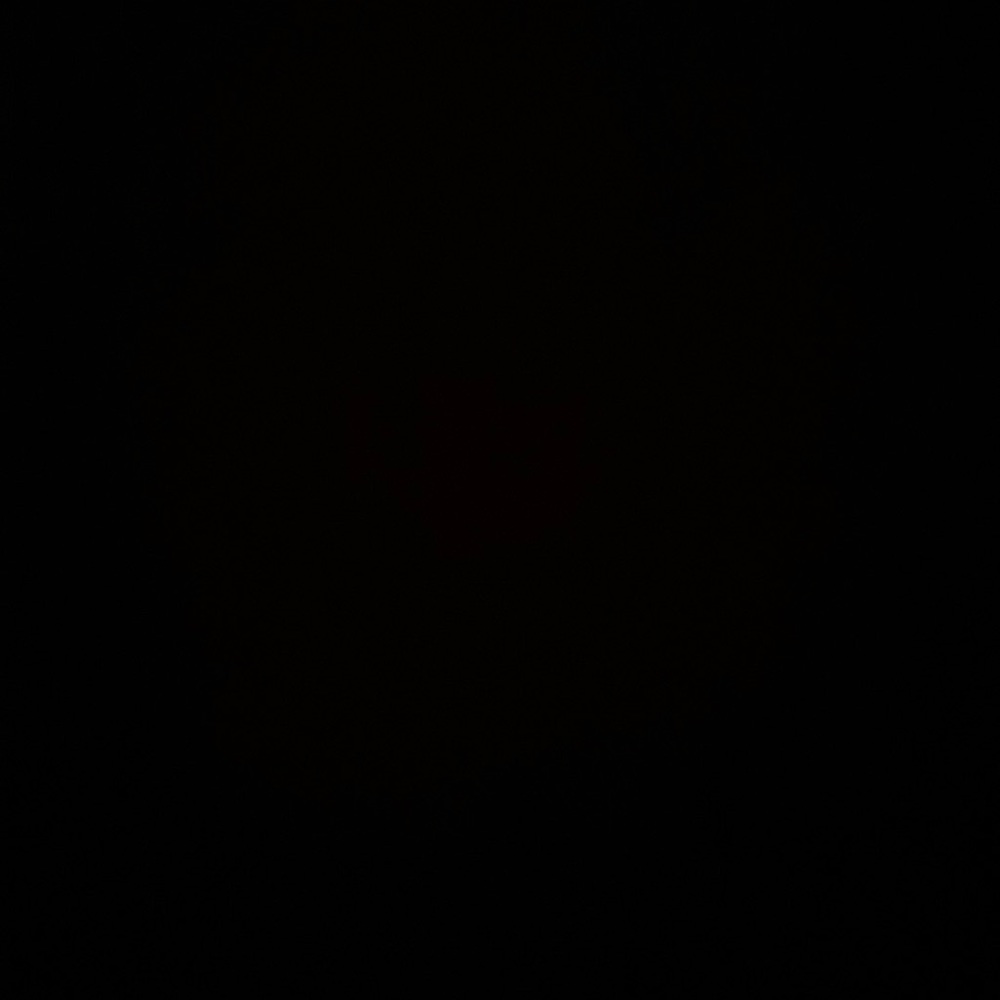 Meet your Posher, Cheyenne